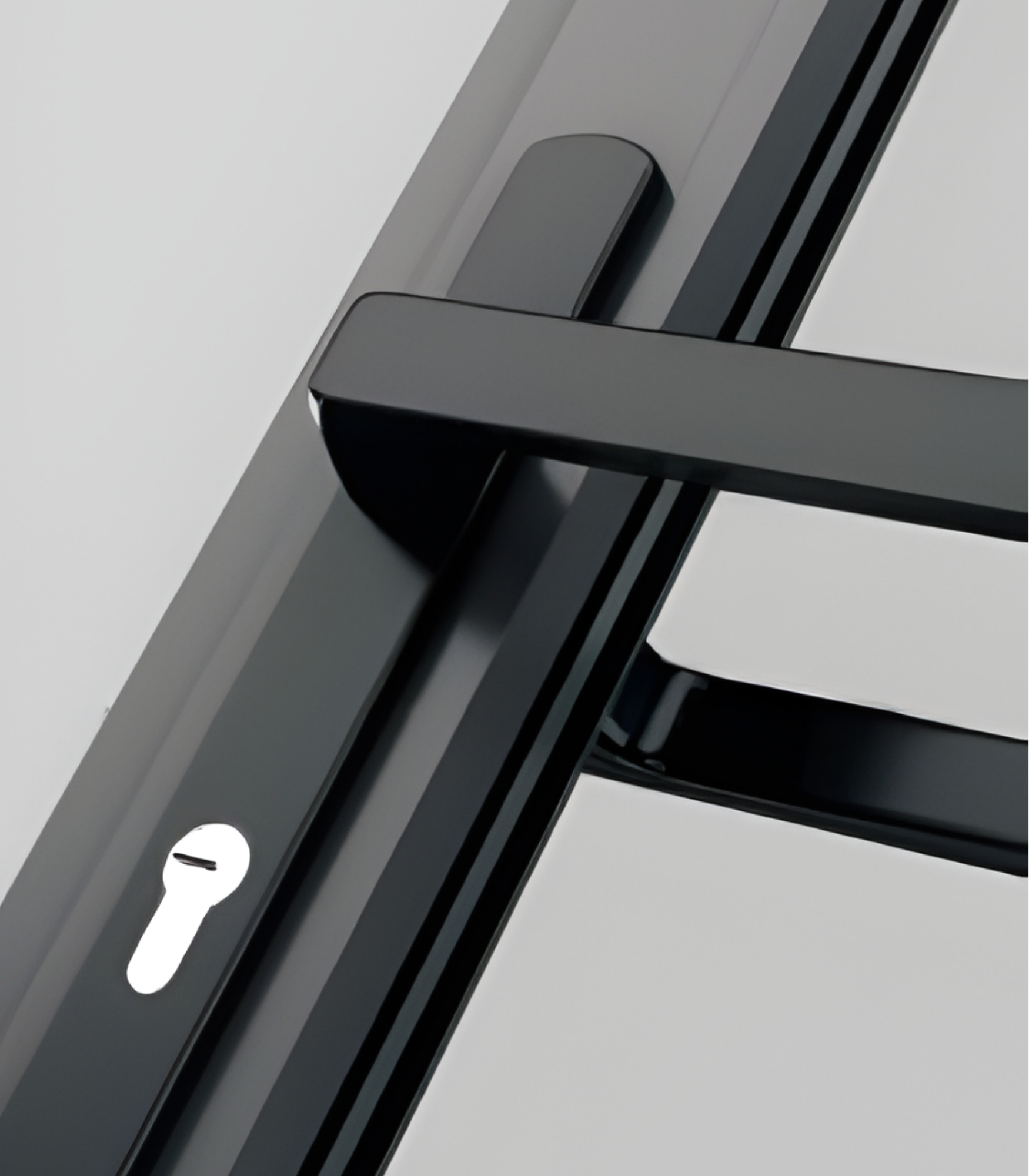 VLX 100 Swing / Entry Door in Tampa, FL | TruePane Windows & Doors - detail 3