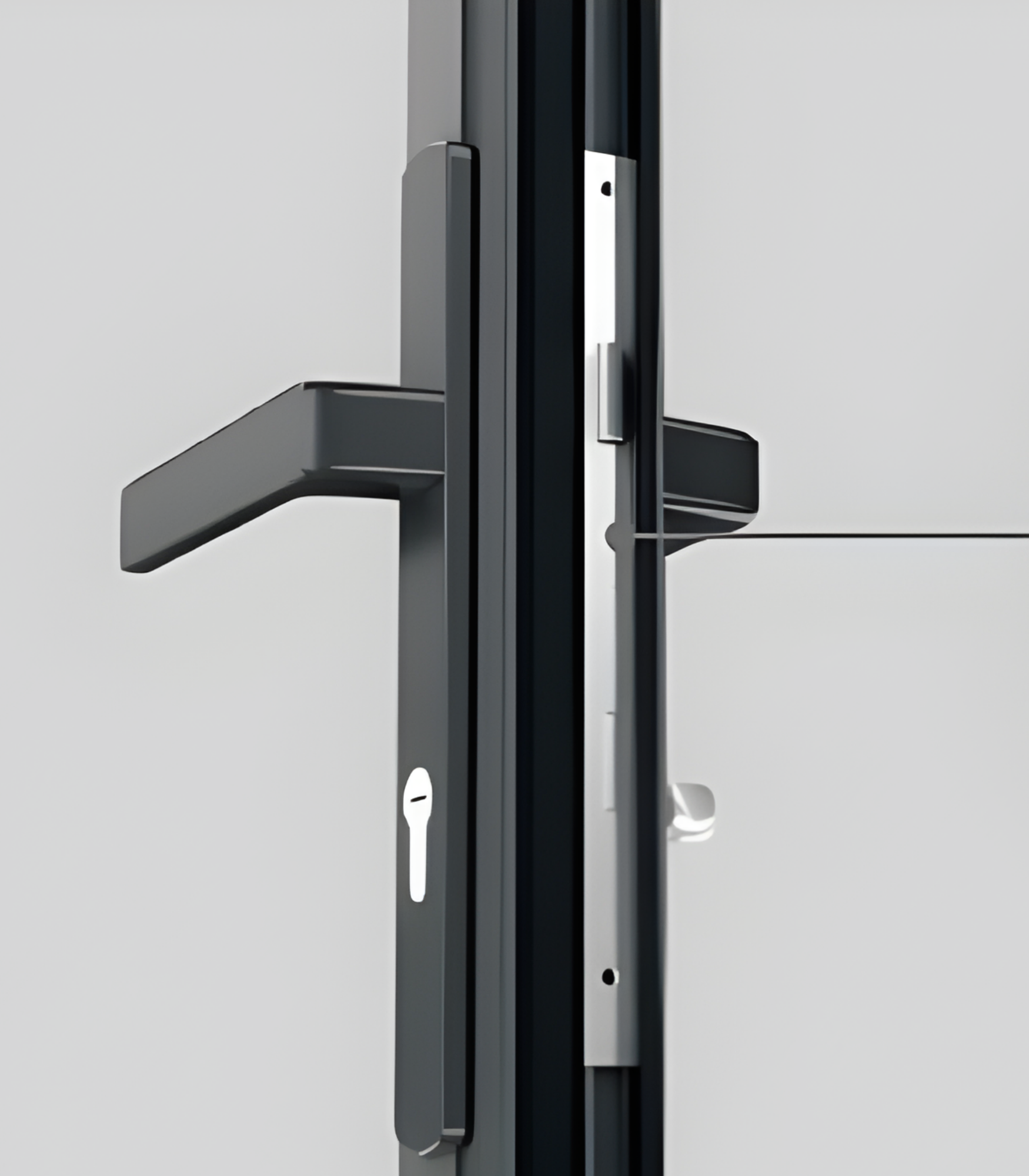 VLX 100 Swing / Entry Door in Tampa, FL | TruePane Windows & Doors - detail 5